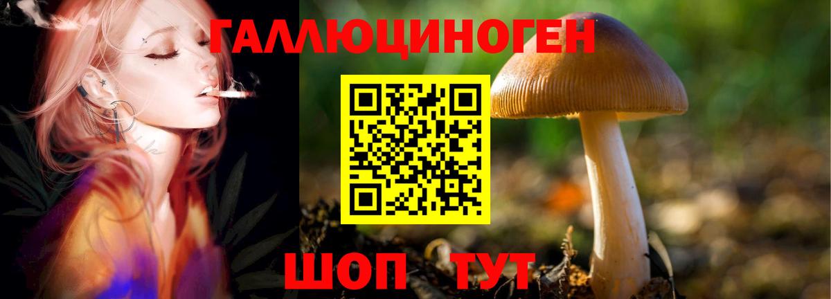 Прохладный  Галлюциногенные грибы GOLDEN TEACHER  Вход с VPN  Галлюциногенные грибы GOLDEN TEACHER 